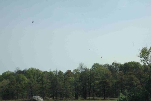 2023 Charity Clay Shoot-1-37