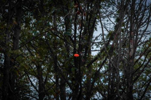 2019_CHARITY_CLAY_SHOOT (72)