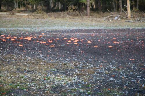 2021-IFMA-Habitat_Charity_Clay_Shoot (150)