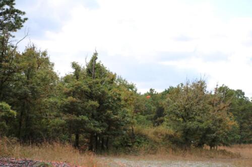 2021-IFMA-Habitat_Charity_Clay_Shoot (187)