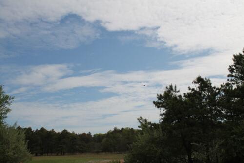 2022-05-IFMA-Habitat-Long-Island-Charity-Clay-Shoot-221