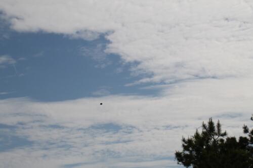 2022-05-IFMA-Habitat-Long-Island-Charity-Clay-Shoot-223